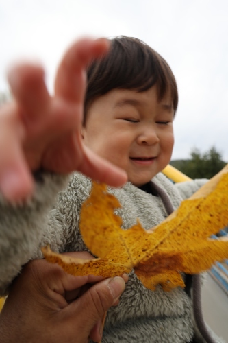 紅葉 | 岡山市　ひとみさん