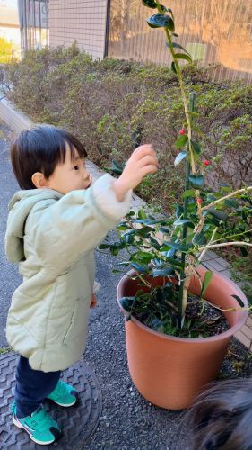 もうすぐ3歳 | 備前市　山口さん