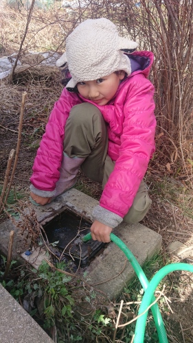 凍結 | 岡山市　くまごろーさん