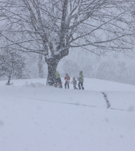 大雪の中で… | 津山市　小坂さん