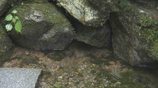 野土路の水