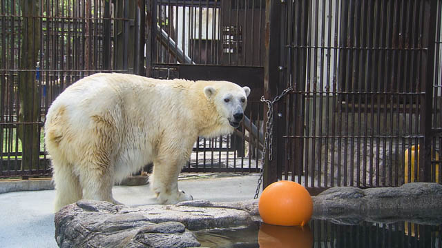 愛媛県立とべ動物園