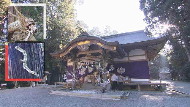 髙岡神社