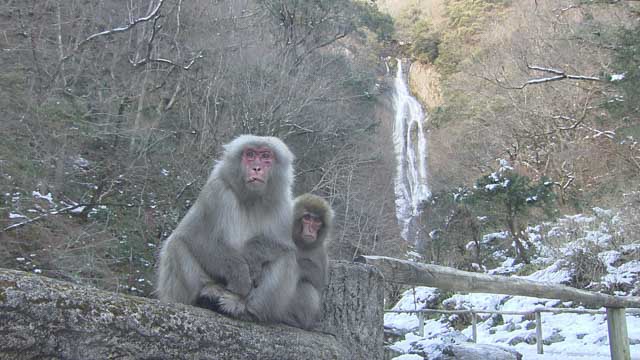 神庭の滝自然公園