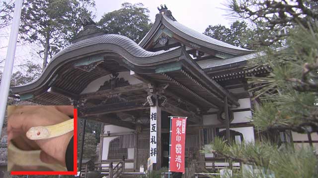 高野山真言宗 別格本山 木山寺